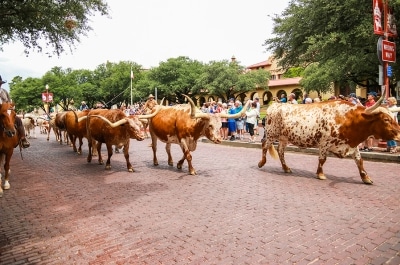 fort-worth-stockyard-tx