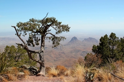 marfa-big-bend-tx